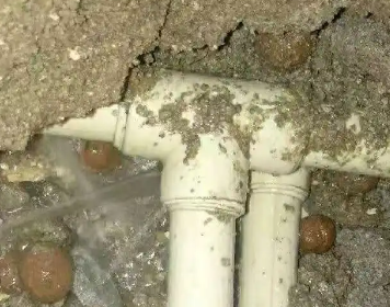 庆云测漏水多少钱