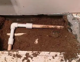 庆云测漏水哪家好