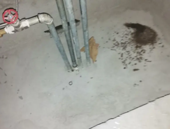 庆云卫生间测漏水价格明细